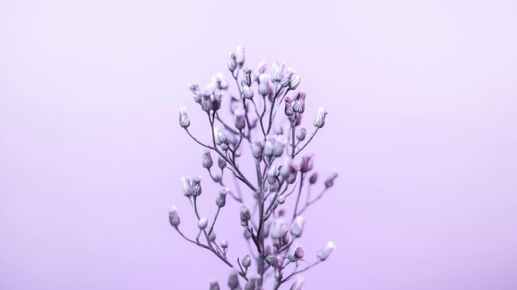 A delicate arrangement of purple buds and branches against a soft pastel background, creating a serene floral composition.